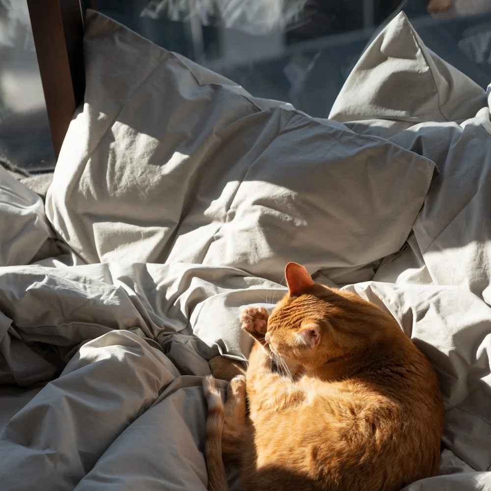 Bedroommood stone percale